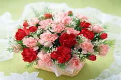 �����񍐎ʐ^