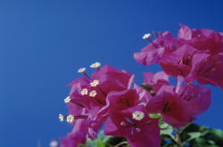 �����񍐎ʐ^